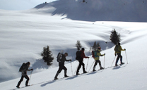 Schneeschuhwandern in bezaubernder Einsamkeit