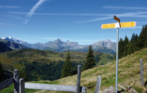 BERG✷STIMMUNG. Seminare & Touren. Winter / Frühjahr